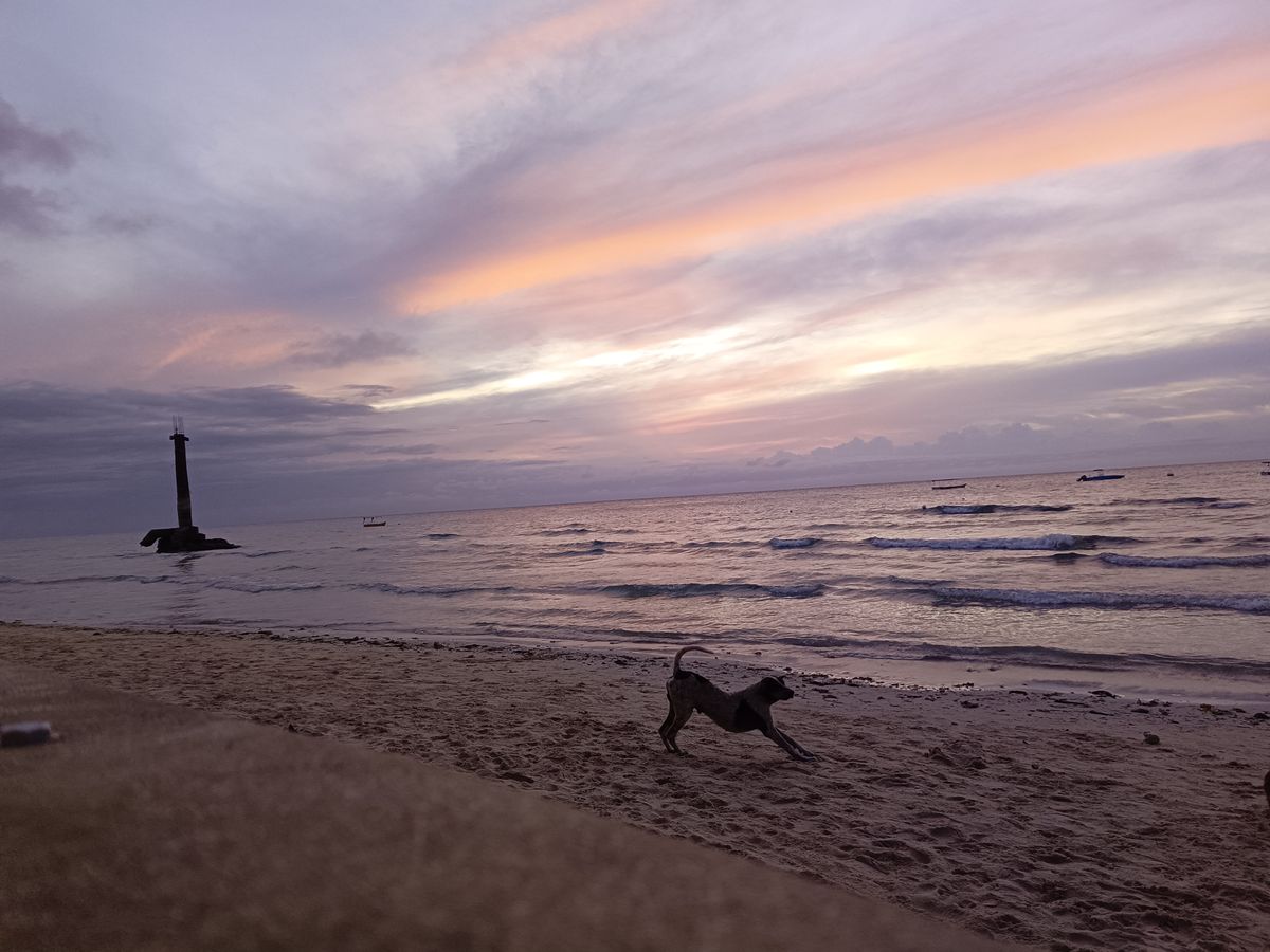 Tecno Camon 20 Premier sample shots