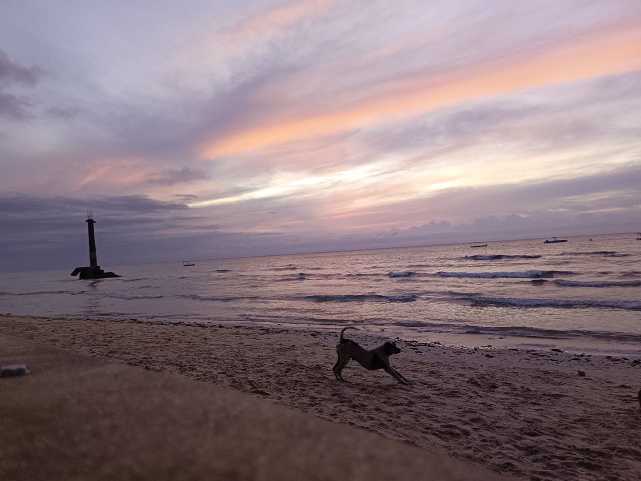Tecno Camon 20 Premier sample shots