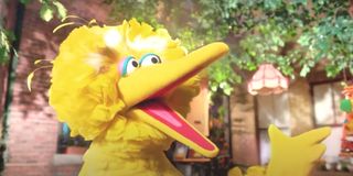 Big Bird on Sesame Street