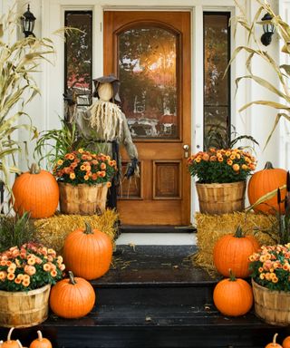 Pumpkin patch Halloween decor