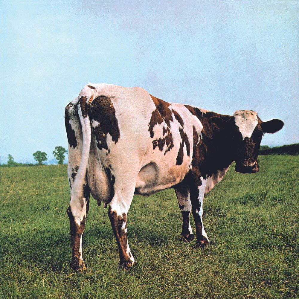 Storm Thorgerson