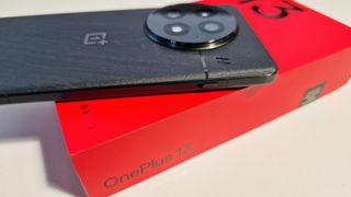 OnePlus 13 