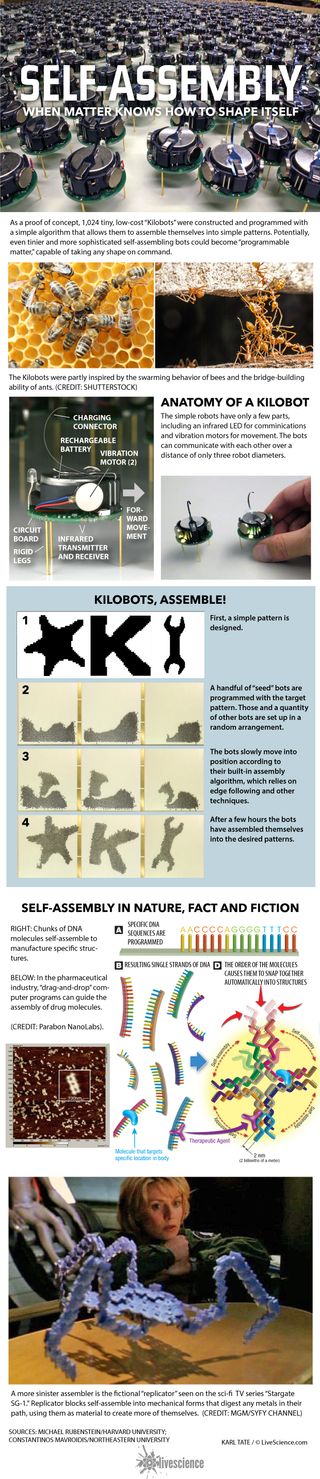 Diagrams explain the concept of self-assembly of tiny robots.