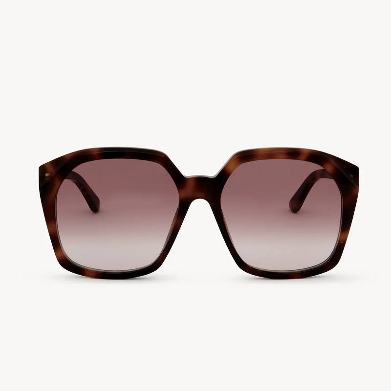 Chloe Salome sunglasses in dark tortoiseshell