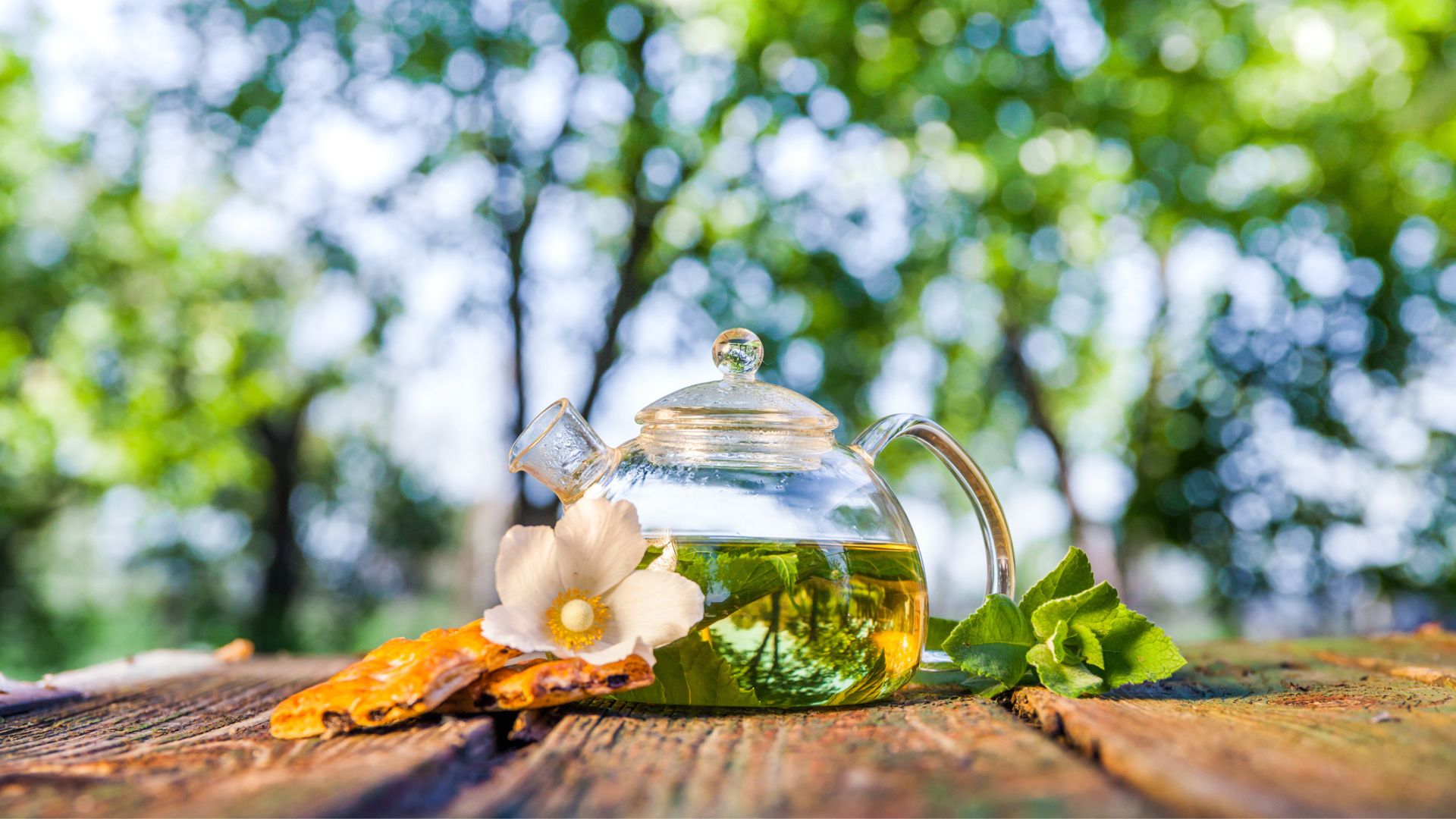 A pot of herbal tea warms in the sun