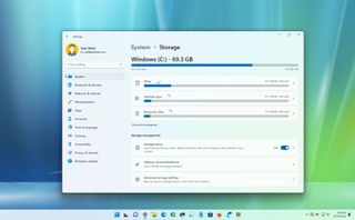 Windows 11 free up space