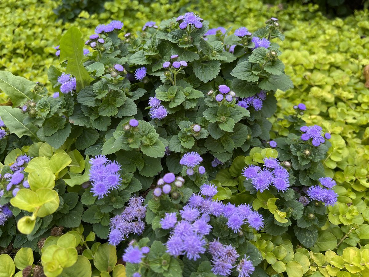 iPhone 13 Pro camera samples with wide-angle camera
