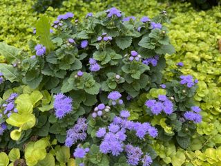 iPhone 13 Pro camera samples with wide-angle camera