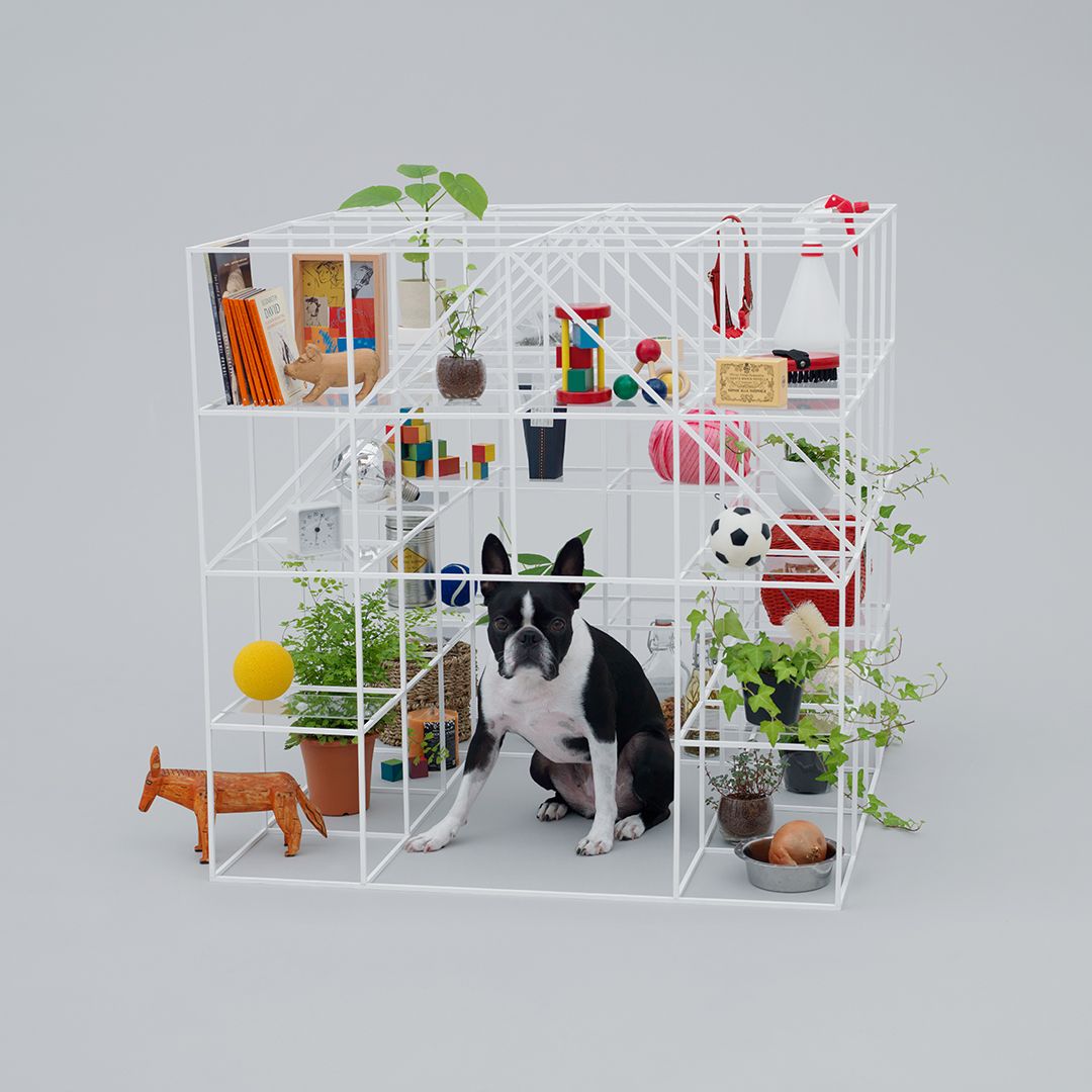 Dog kennel