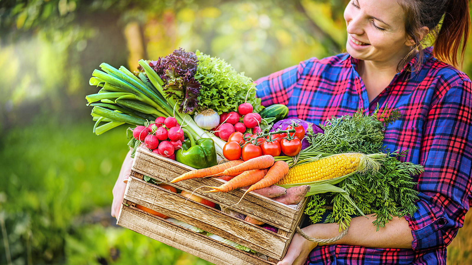 Female gardener in checked shirt holds crate of freshly harvested vegetables