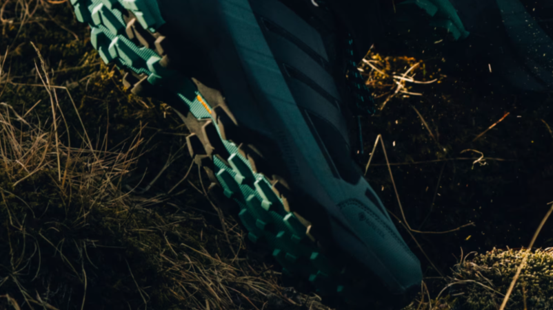 Adidas Terrex Skychaser AX5