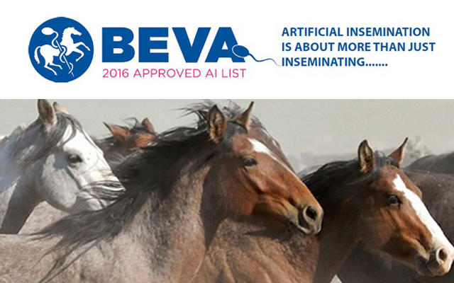 Beva