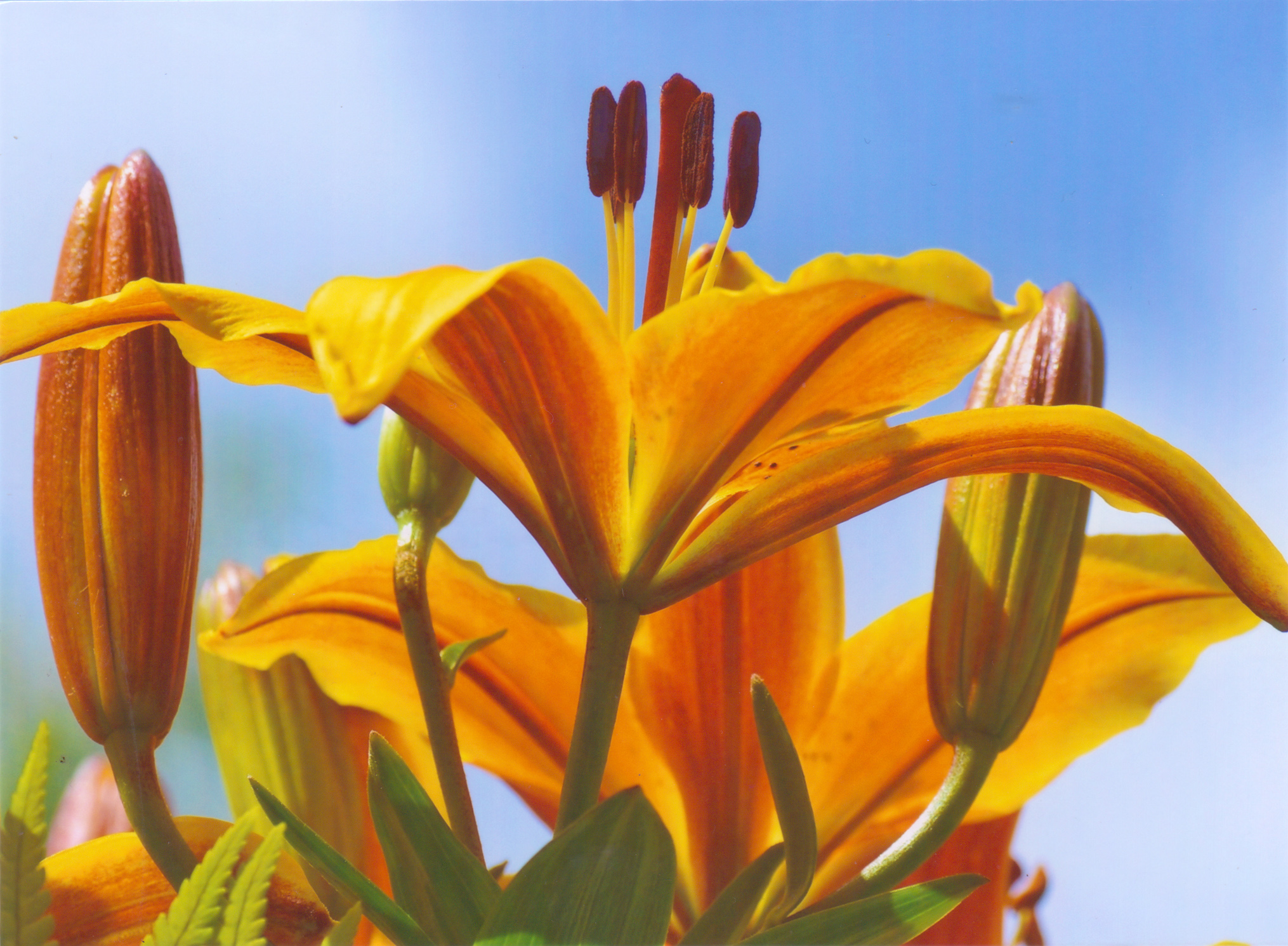 The best photo printing online in the UK Digital Camera World