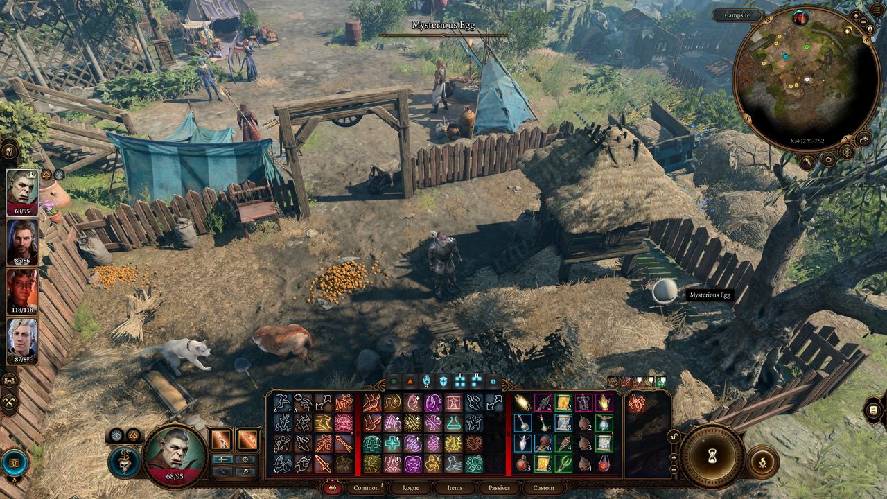Baldur's Gate 3 Mysterious Egg in party camp