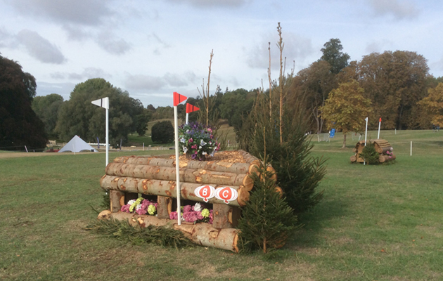 Blenheim Fences 2018