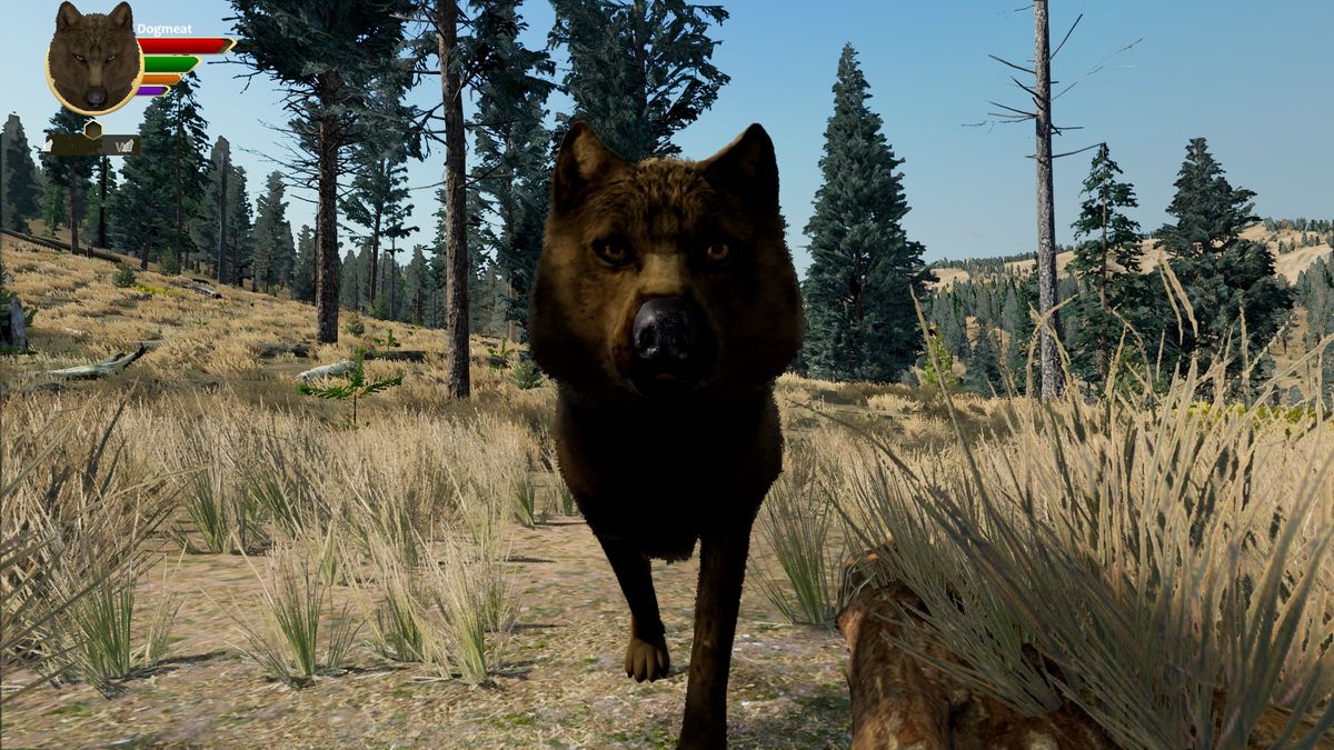 WolfQuest wolf simulation game