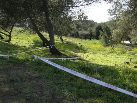 Grassy singletrack awaits the racers.