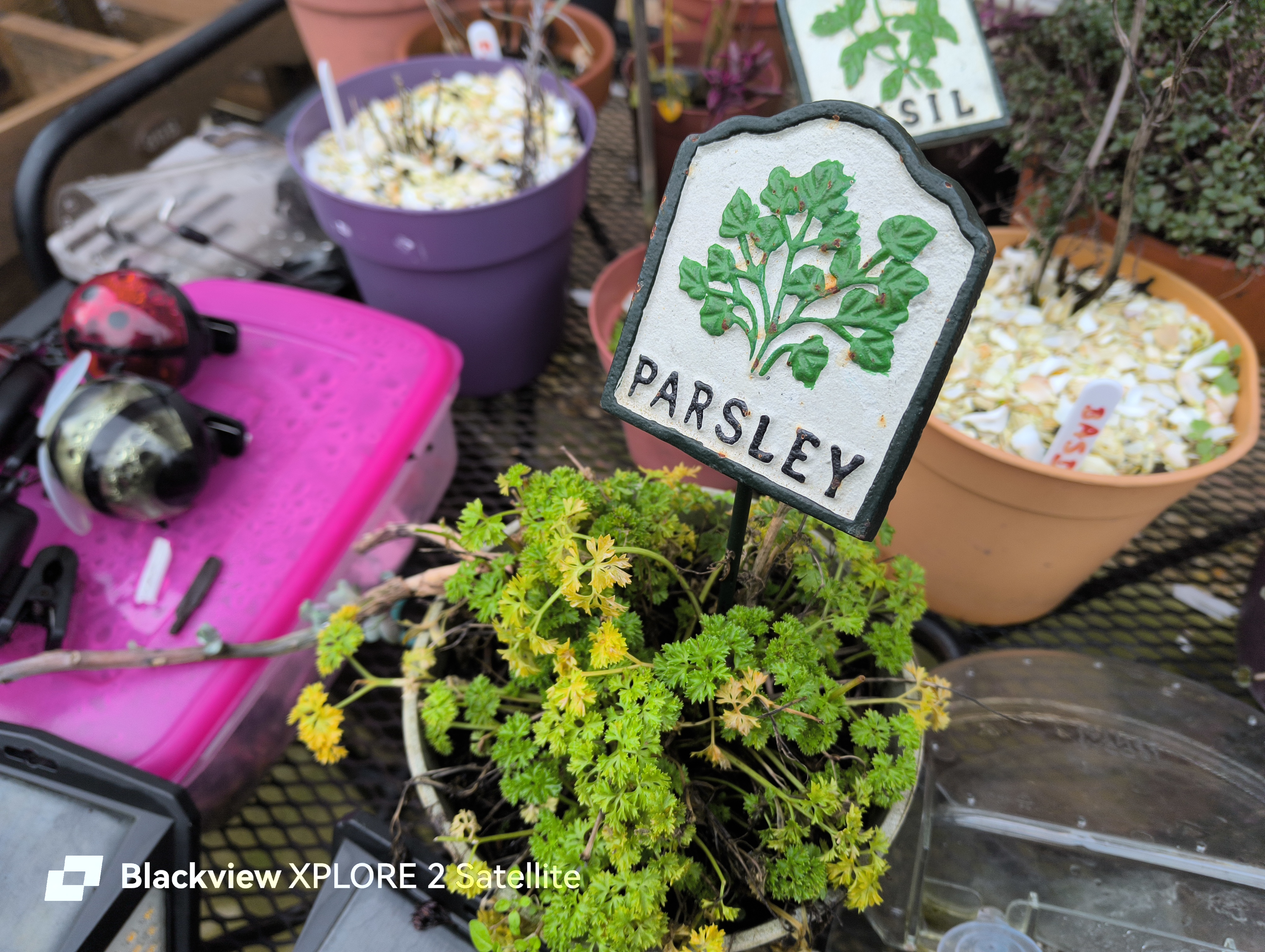 Blackview Xplore 2 Satellite photo examples