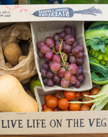 Riverford organic vegetable box
