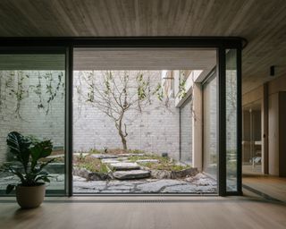 A room with wooden floors, a potted plant and a glass sliding door opening onto a courtyard with a tree in the middle of it.