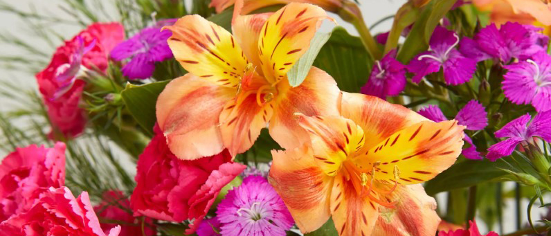 The best flowers for Mother's Day 2020 Add vibrant florals to your sleeping