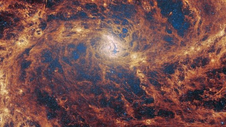 يرى تلسكوب جيمس ويب الفضائي مجرة ​​من النجوم المتنامية