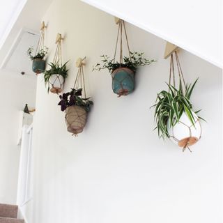 stairs with white walls and hanged pots with plants