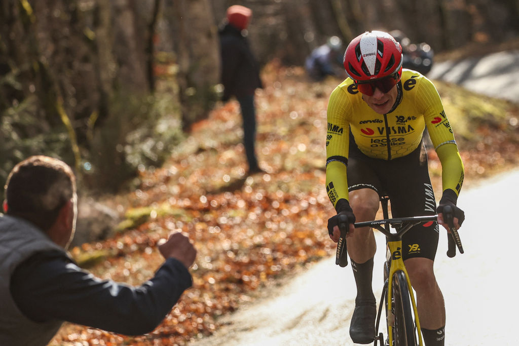 Team Visma-Lease a Bike's Danish rider Jonas Vingegaard (R) cycles in the final kilometers of the 4th stage of the Paris-Nice cycling race, 163,4 km between Vichy and La Loge des Gardes, on March 12, 2025. (Photo by Anne-Christine POUJOULAT / AFP)