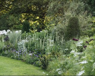 naturalistic planting design in the long border at Batcombe House garden