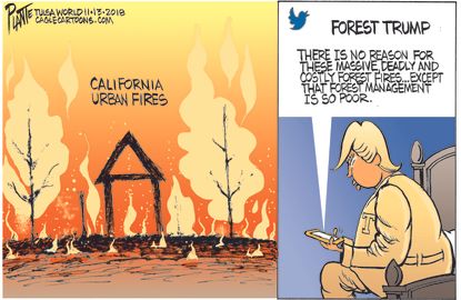 Political cartoon U.S. Trump California urban fires forest management tweet