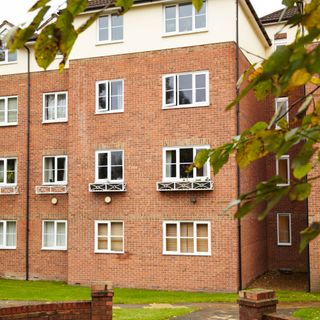 apartments with brick wall and white windows