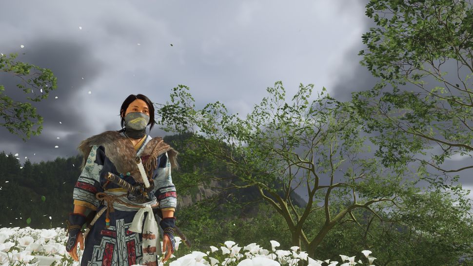 View of The Philosophy of Trees: Life Lessons from Nature's Giants