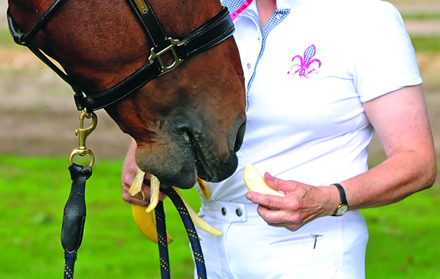 Can horses eat bananas