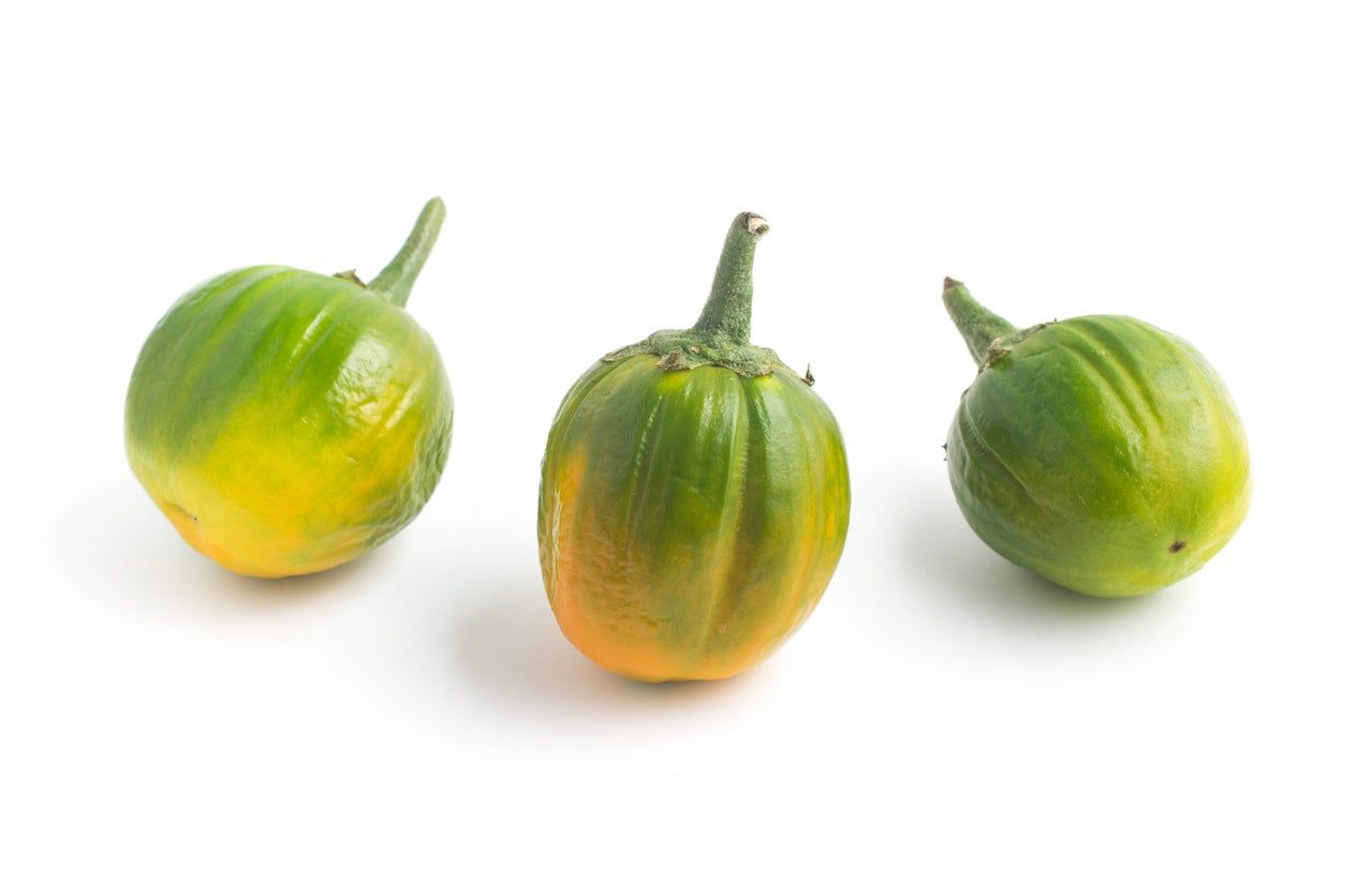 Three Green-Yellow Jilo Brazilian Eggplants