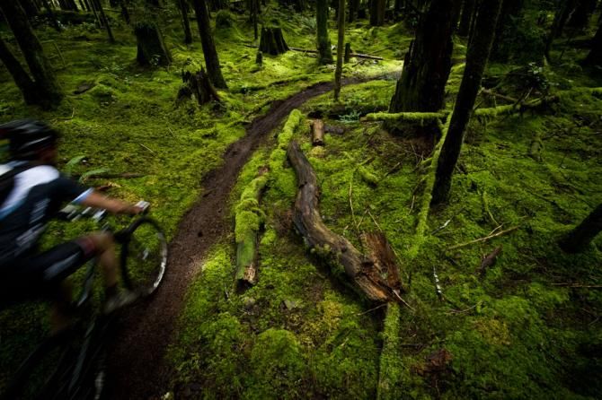Riders enjoy plenty of singletrack at the BC Bike Race