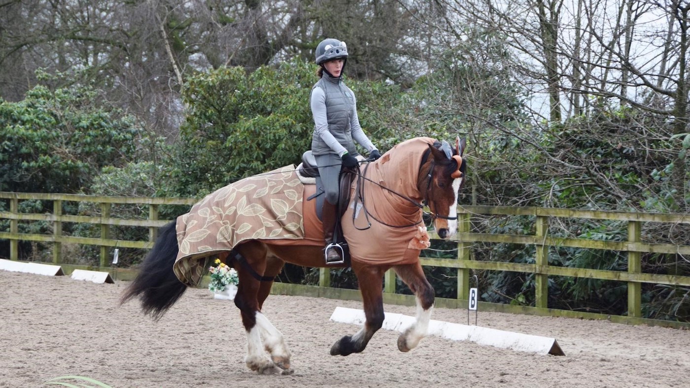 HorsesHope2.jpg