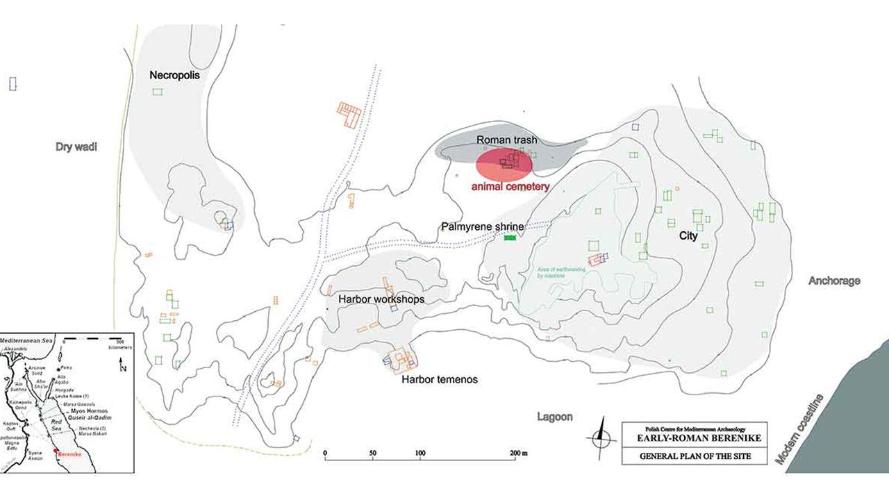 The Roman era pet cemetery (red) was located on the outskirts of Berenice in ancient Egypt.