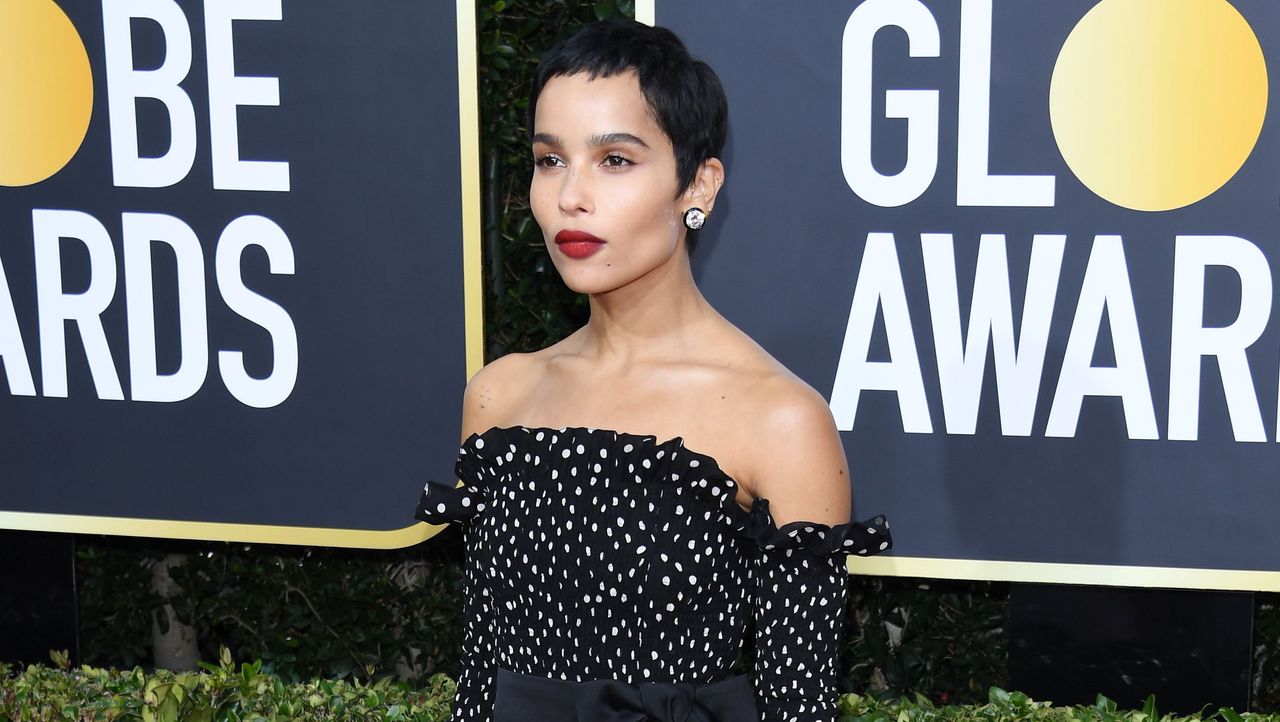 77th Annual Golden Globe Awards - Arrivals