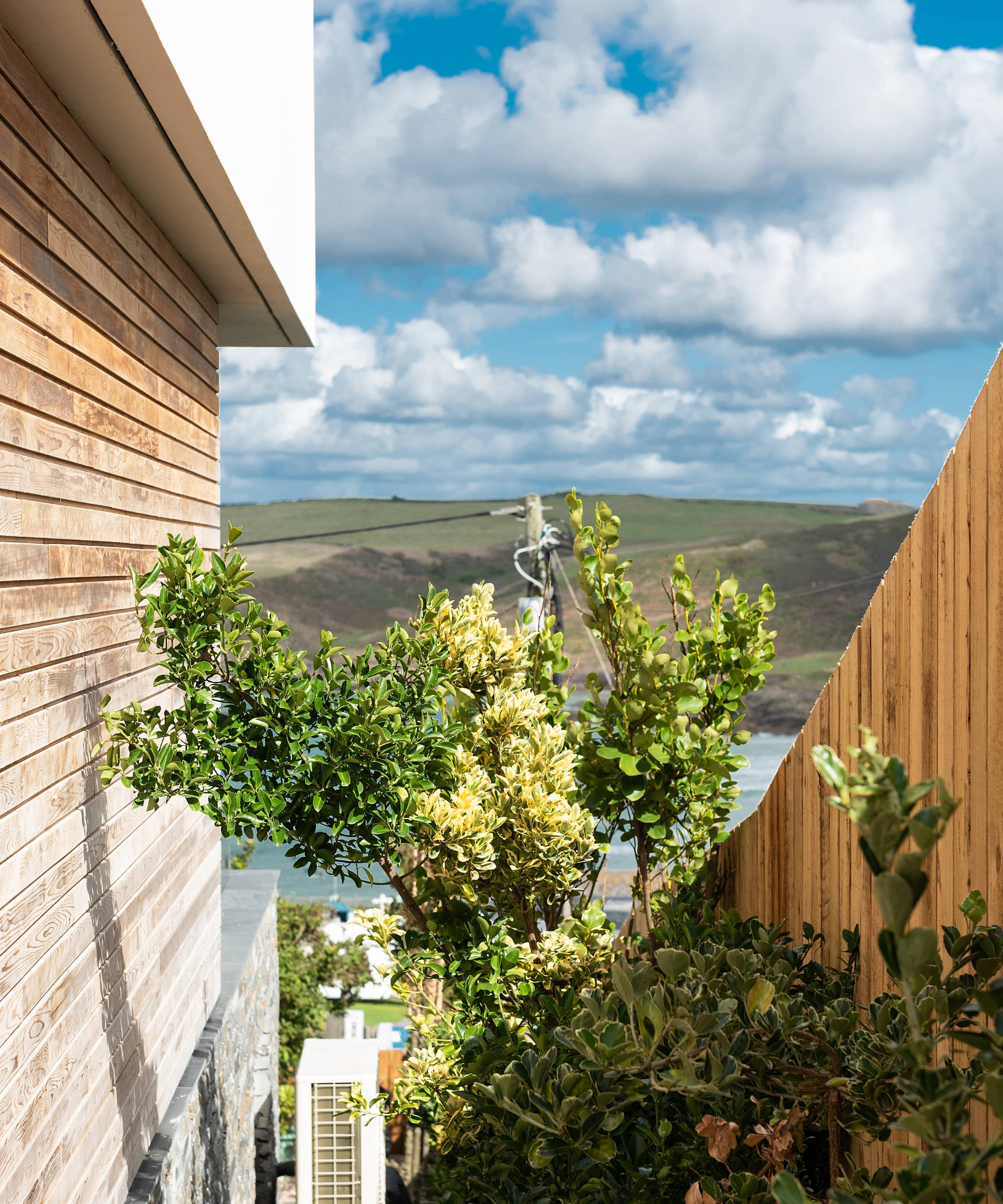 View from the side of the house