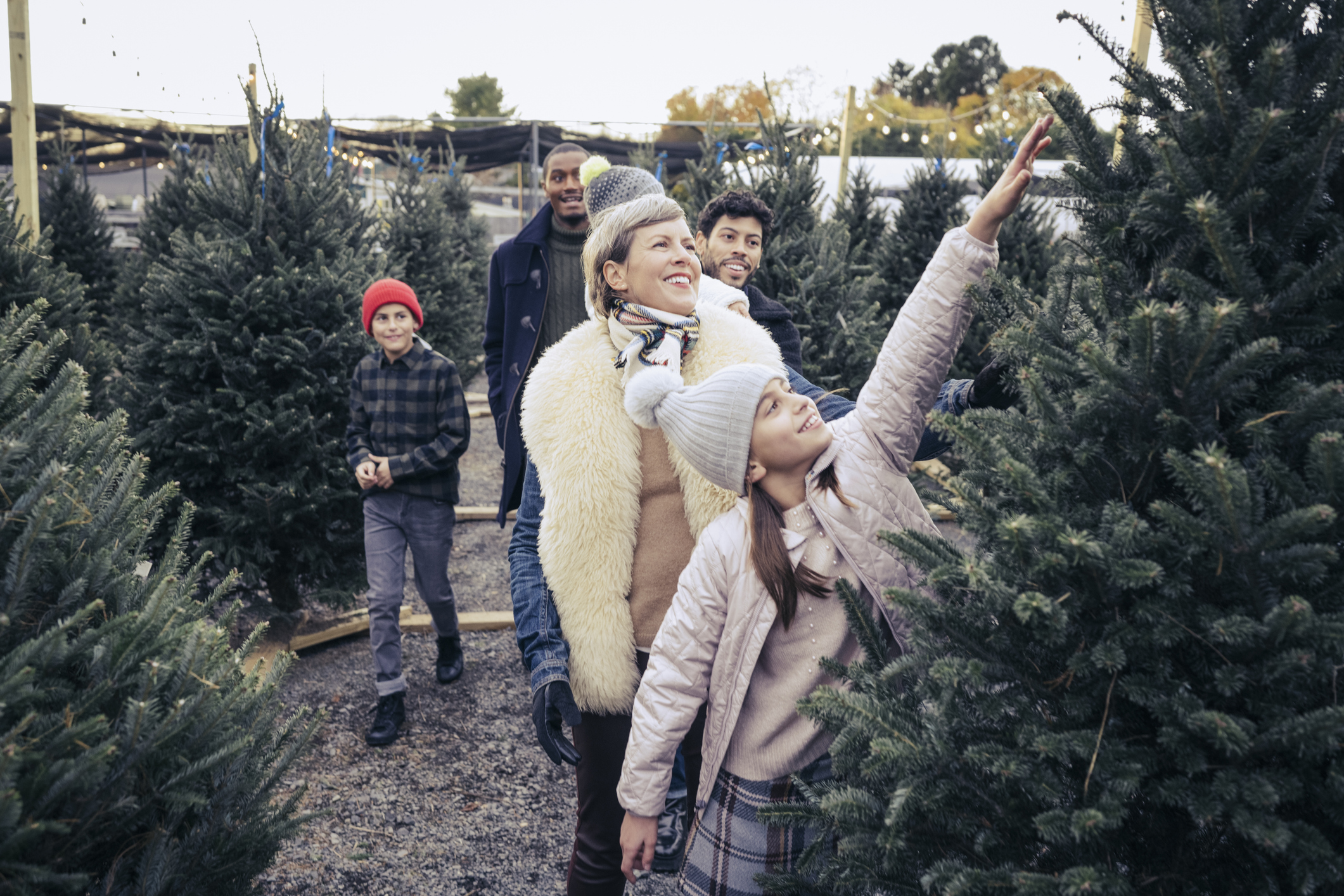 A multigenerational family walks through a Christmas tree lot to pick their favorite tree.