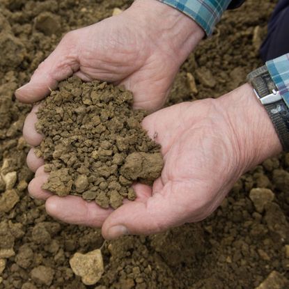 Clay garden soil in man's hands