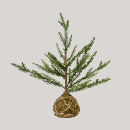 Bosworth&#039;s Garden Center, Everlands Mini Indoor Moss Ball Tree