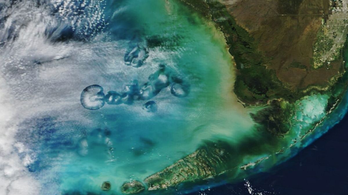 Satellite snaps eerily circular holes in the clouds above Florida. What ...