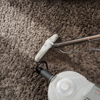 Wet dry vacuum extracting dirt from carpet