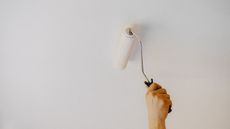 Soeone using a white roller to paint a ceiling 