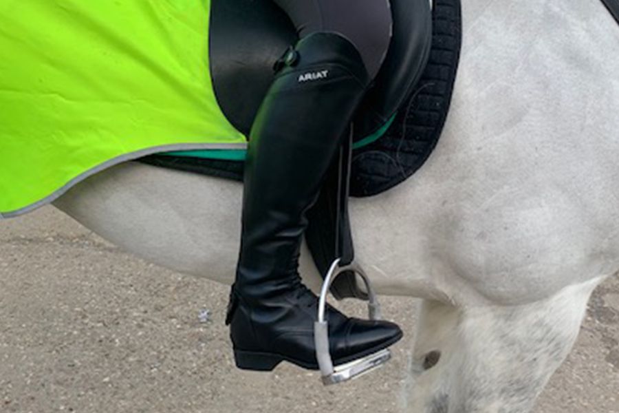 Ariat Palisade long boots in stirrup