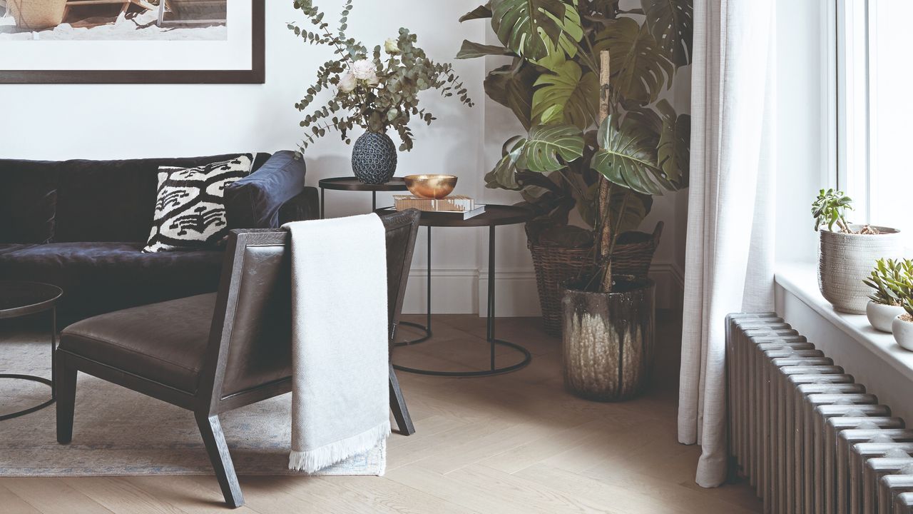 A white living room with large houseplants and a black velvet sofa on a white rug with a black leather lounge chair