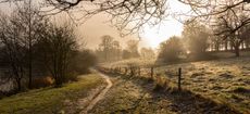 Frosty sunrise with footpath through the woods