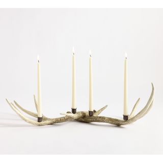 Antler candle holder