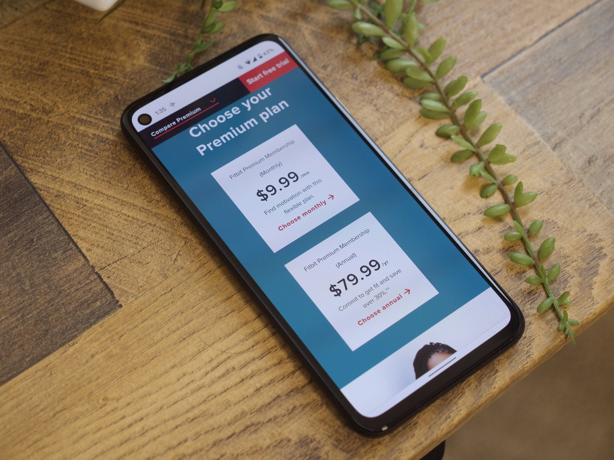 Fitbit Premium prices